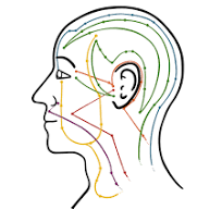 Apuntes de Acupuntura